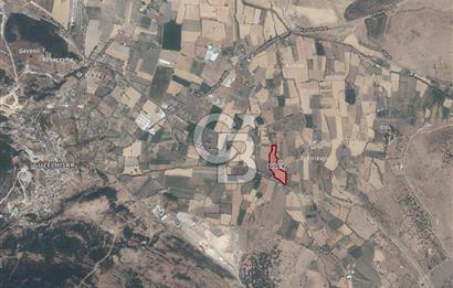 ALİAĞA ÇITAK'TA YOLA CEPHELİ 3119 m² ARSA - ELEKTRİK SU YANINDA