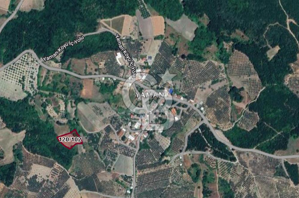 CB BLACK'TAN MUDANYA YAMAN KÖYDE FIRSAT TARLA