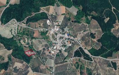CB BLACK'TAN MUDANYA YAMAN KÖYDE FIRSAT TARLA
