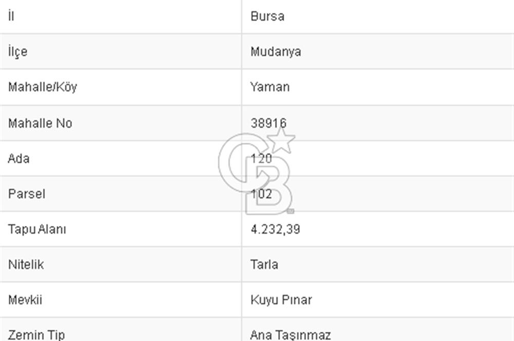CB BLACK'TAN MUDANYA YAMAN KÖYDE FIRSAT TARLA