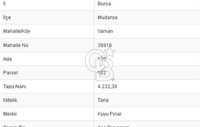 CB BLACK'TAN MUDANYA YAMAN KÖYDE FIRSAT TARLA