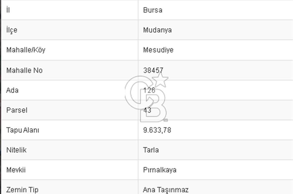 CB BLACK'TAN MESUDİYE'DE AYAZMA DENİZ MANZARALI HİSSELİ YER