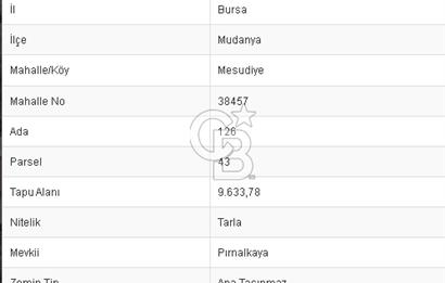 CB BLACK'TAN MESUDİYE'DE AYAZMA DENİZ MANZARALI HİSSELİ YER