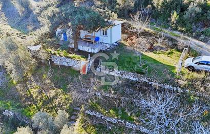 KARABURUN'DA ZEYTİN AĞAÇLI TARLA & YAPI KAYITLI KONTEYNER
