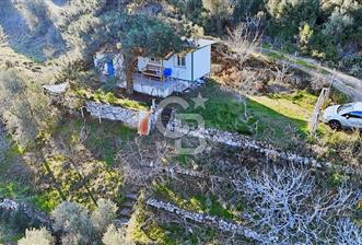 KARABURUN'DA ZEYTİN AĞAÇLI TARLA & YAPI KAYITLI KONTEYNER