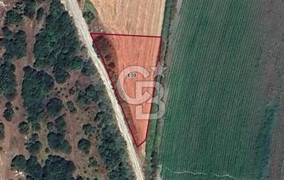 CB BLACK'TAN KARACABEY ÇEŞNİGİR'DE KÖYE 800 METRE MESAFEDE TARLA