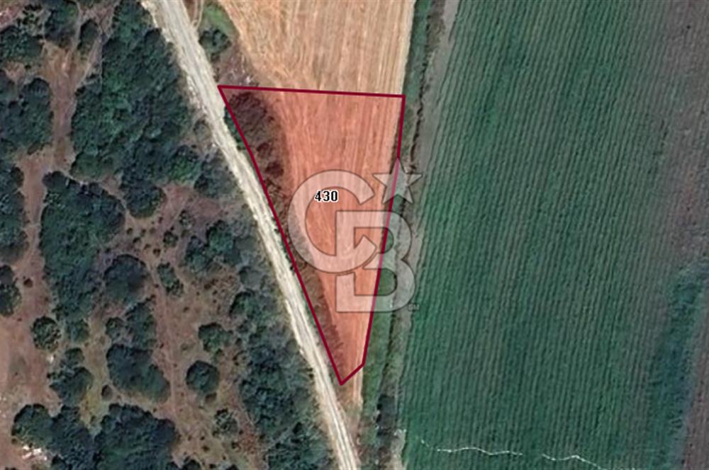 CB BLACK'TAN KARACABEY ÇEŞNİGİR'DE KÖYE 800 METRE MESAFEDE TARLA