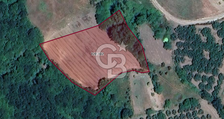 CB BLACK'TAN MUDANYA YAMAN KÖYDE FIRSAT TARLA