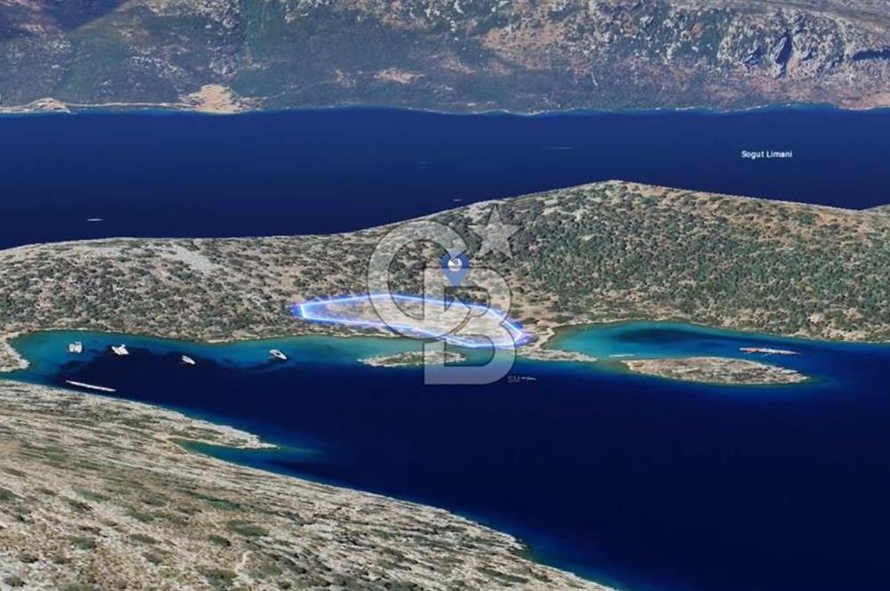 Söğütte Yarımada İçinde, Denize Sıfır Koya Sahip 5.387m² Tarla