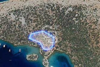 Söğütte Yarımada İçinde, Denize Sıfır Koya Sahip 5.387m² Tarla