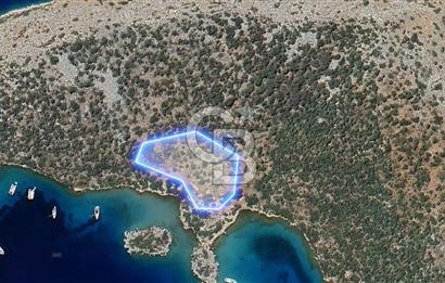 Söğütte Yarımada İçinde, Denize Sıfır Koya Sahip 5.387m² Tarla