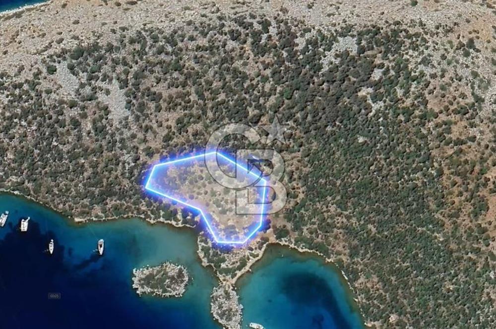 Söğütte Yarımada İçinde, Denize Sıfır Koya Sahip 5.387m² Tarla