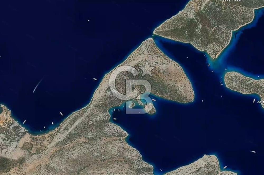 Söğütte Yarımada İçinde, Denize Sıfır Koya Sahip 5.387m² Tarla