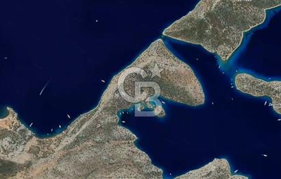 Söğütte Yarımada İçinde, Denize Sıfır Koya Sahip 5.387m² Tarla