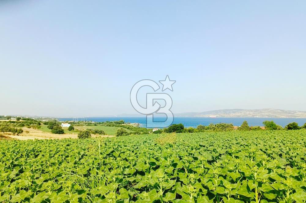 ÇANAKKALE'DE PANORAMİK DENİZ MANZARALI 9600 M2 ARAZİ
