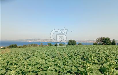 ÇANAKKALE'DE PANORAMİK DENİZ MANZARALI 9600 M2 ARAZİ