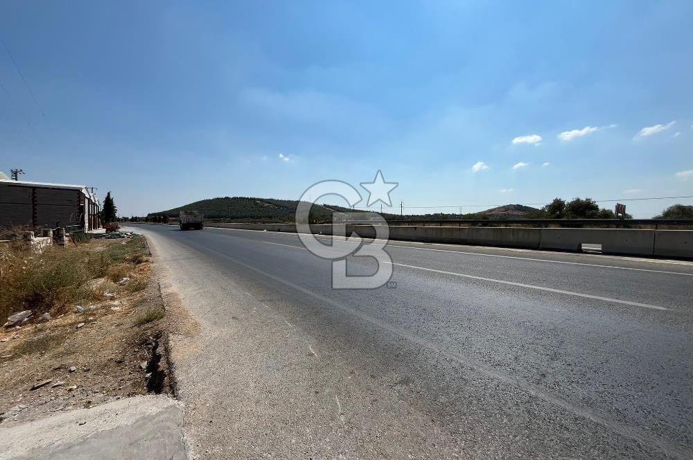 İzmir Torbalı Arslanlar Ana Cadde Üzeri Kiralık Depo
