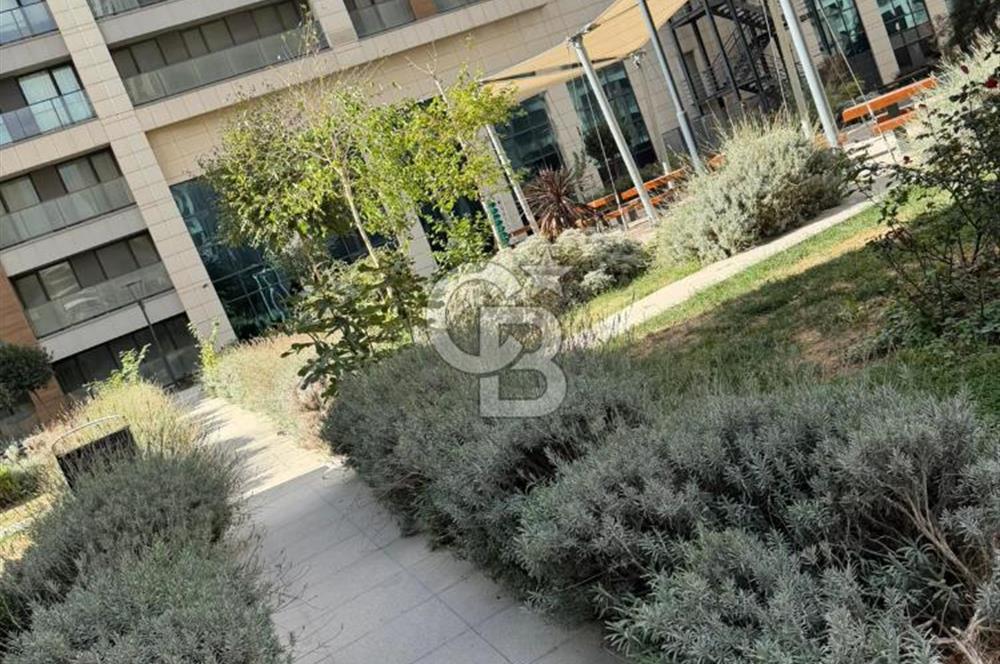 KADIKÖY YENİ FİKİRTEPE, KİPTAŞ TORKAM KULELERİNDE, EŞYALI 1+1 KİRALIK FIRSAT DAİRE 