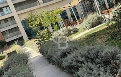 KADIKÖY YENİ FİKİRTEPE, KİPTAŞ TORKAM KULELERİNDE, EŞYALI 1+1 KİRALIK FIRSAT DAİRE 