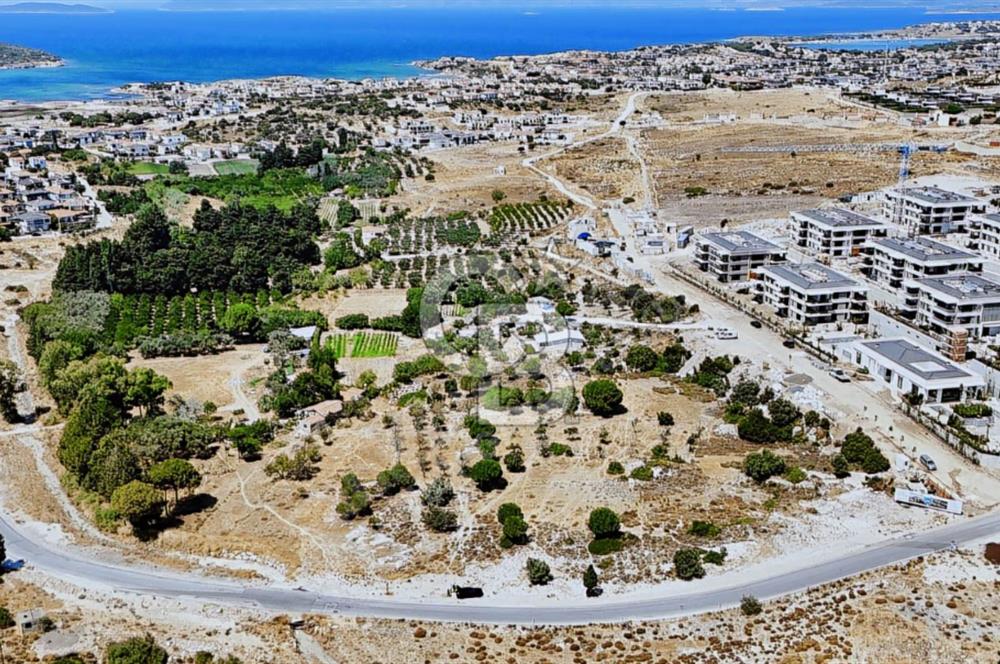 ÇEŞME ŞİFNE / REİSDERE SINIRI İMARA KOMŞU SATILIK 4760m2 TARLA