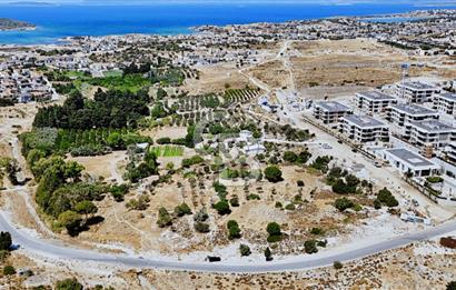 ÇEŞME ŞİFNE / REİSDERE SINIRI İMARA KOMŞU SATILIK 4760m2 TARLA