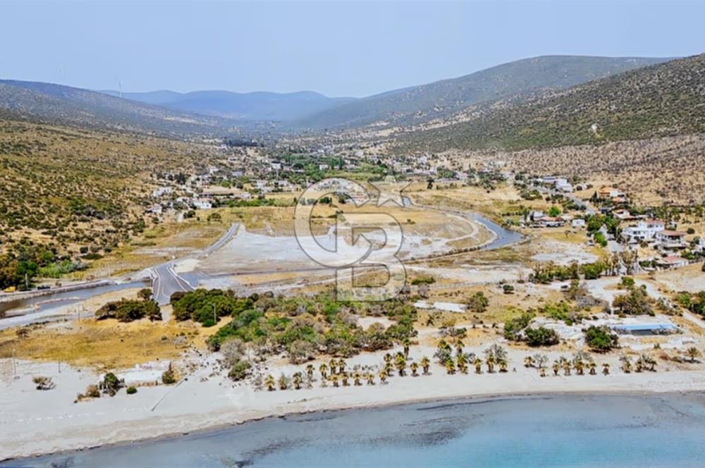 URLA ZEYTİNELİ KÖYÜ DENİZE YAKIN MESAFEDE SATILIK 1748m2 TARLA