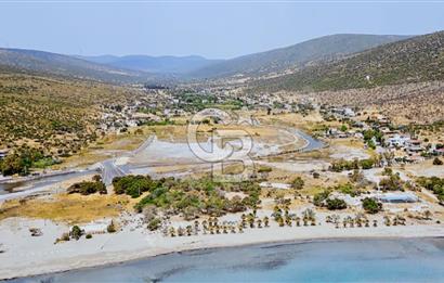 URLA ZEYTİNELİ KÖYÜ DENİZE YAKIN MESAFEDE SATILIK 1748m2 TARLA