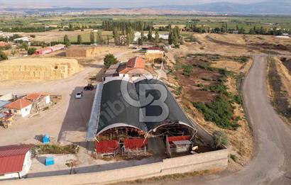 KAYSERİ AKIN'DA TAM DONANIMLI SATILIK ÇİFTLİK