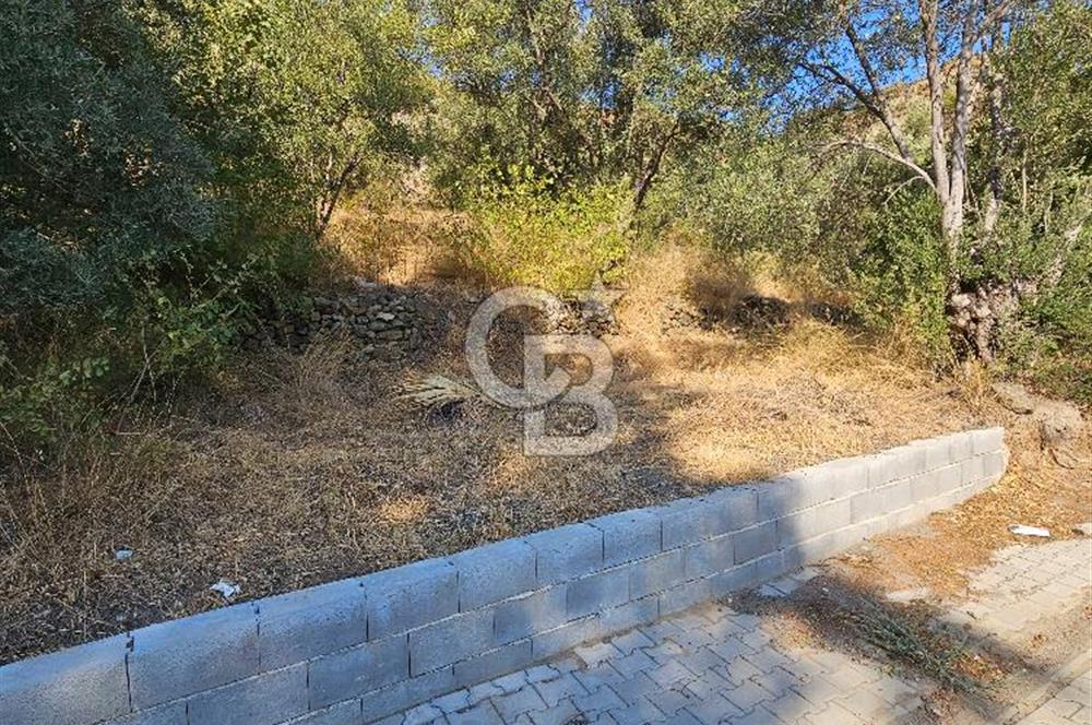 Ortaca Çaylı Mah. Satılık Arsa 600m² 30/60