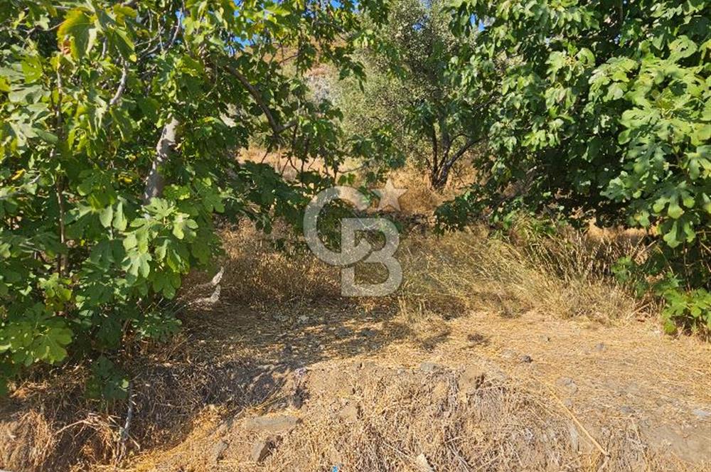 Ortaca Çaylı Mah. Satılık Arsa 600m² 30/60