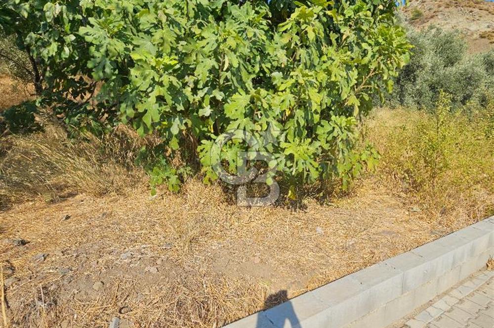 Ortaca Çaylı Mah. Satılık Arsa 600m² 30/60