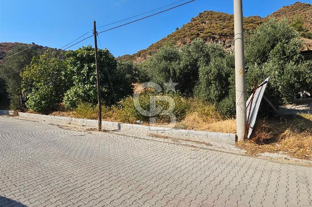 Ortaca Çaylı Mah. Satılık Arsa 600m² 30/60