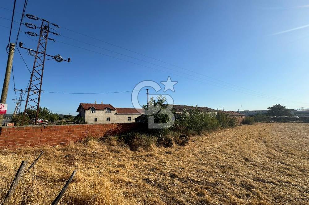 ÇANAKKALE  BAYRAMİÇ TÜRKMENLİ KÖYÜ SATILIK TARLA ELEKTİRİK SU VAR