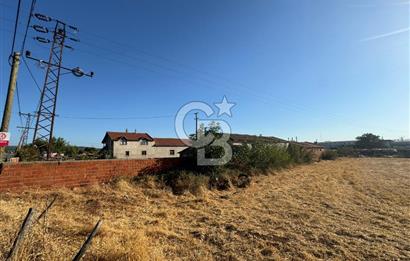 ÇANAKKALE  BAYRAMİÇ TÜRKMENLİ KÖYÜ SATILIK TARLA ELEKTİRİK SU VAR
