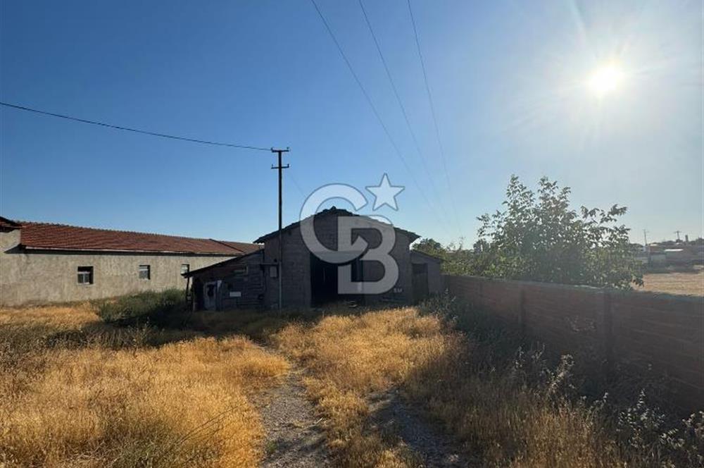 ÇANAKKALE  BAYRAMİÇ TÜRKMENLİ KÖYÜ SATILIK TARLA ELEKTİRİK SU VAR