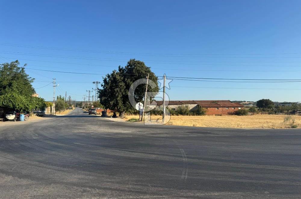 ÇANAKKALE  BAYRAMİÇ TÜRKMENLİ KÖYÜ SATILIK TARLA ELEKTİRİK SU VAR