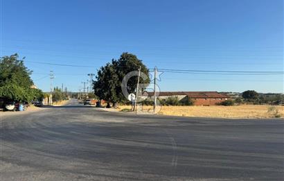 ÇANAKKALE  BAYRAMİÇ TÜRKMENLİ KÖYÜ SATILIK TARLA ELEKTİRİK SU VAR