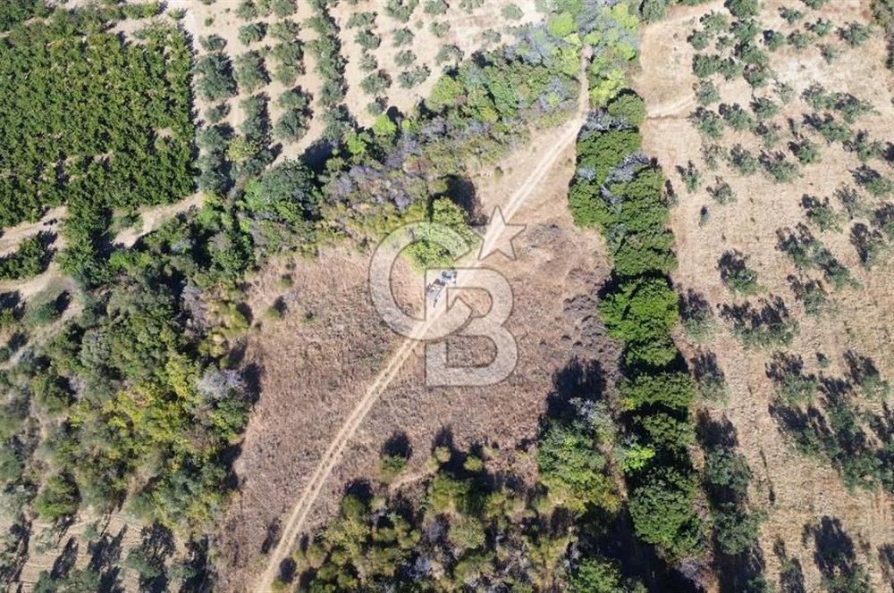 ÇANAKKALE LAPSEKİ ÇARDAK'TA BOĞAZ MANZARALI 10.055 m² YATIRIMLIK SATILIK TARLA!