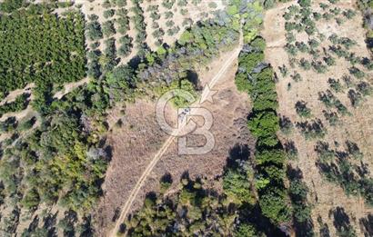 ÇANAKKALE LAPSEKİ ÇARDAK'TA BOĞAZ MANZARALI 10.055 m² YATIRIMLIK SATILIK TARLA!