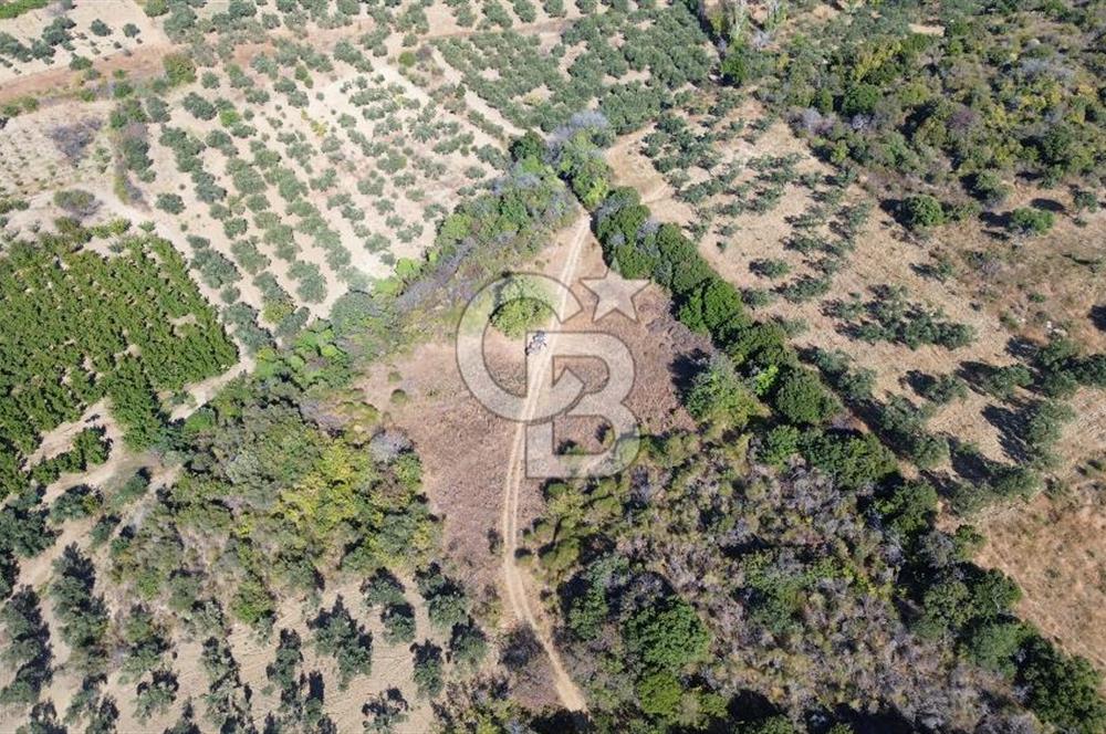 ÇANAKKALE LAPSEKİ ÇARDAK'TA BOĞAZ MANZARALI 10.055 m² YATIRIMLIK SATILIK TARLA!