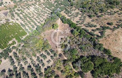 ÇANAKKALE LAPSEKİ ÇARDAK'TA BOĞAZ MANZARALI 10.055 m² YATIRIMLIK SATILIK TARLA!