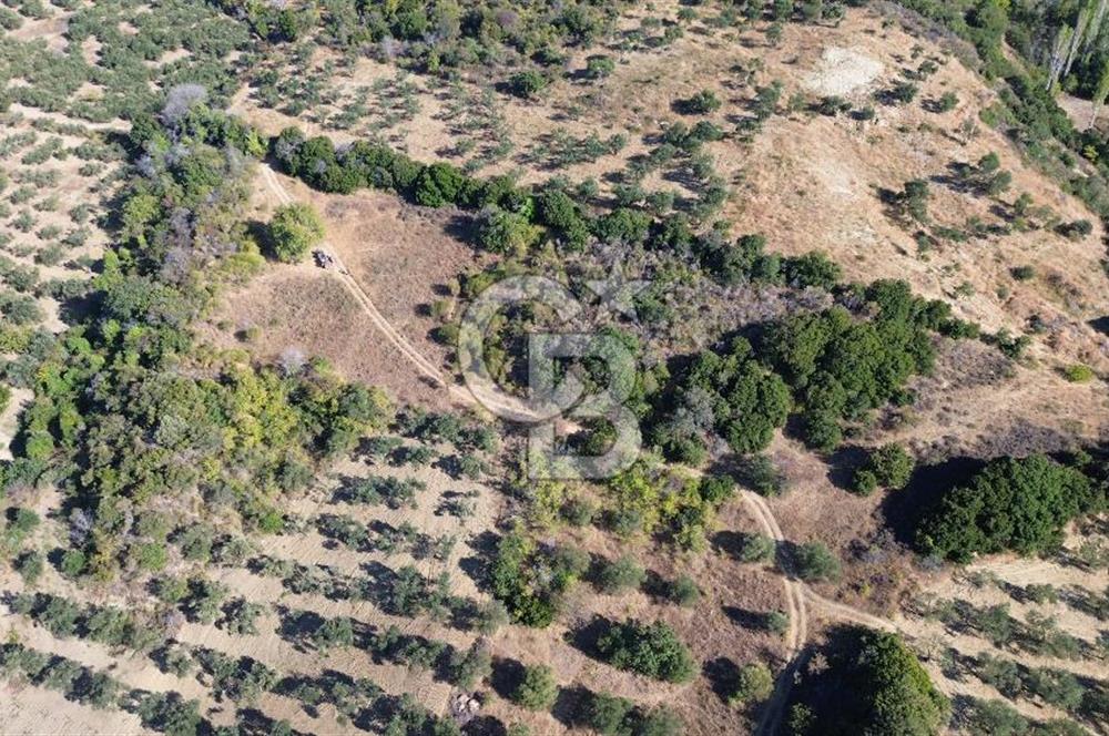 ÇANAKKALE LAPSEKİ ÇARDAK'TA BOĞAZ MANZARALI 10.055 m² YATIRIMLIK SATILIK TARLA!