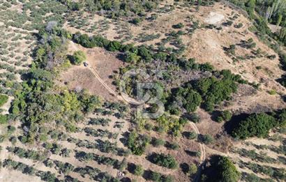 ÇANAKKALE LAPSEKİ ÇARDAK'TA BOĞAZ MANZARALI 10.055 m² YATIRIMLIK SATILIK TARLA!