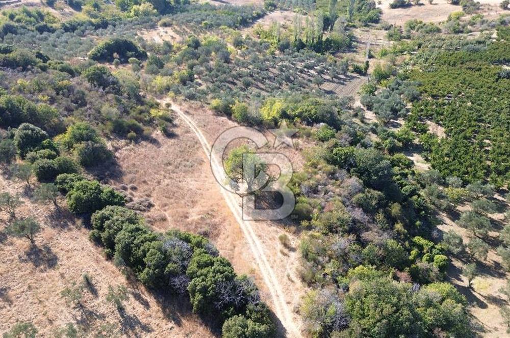 ÇANAKKALE LAPSEKİ ÇARDAK'TA BOĞAZ MANZARALI 10.055 m² YATIRIMLIK SATILIK TARLA!