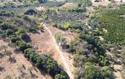 ÇANAKKALE LAPSEKİ ÇARDAK'TA BOĞAZ MANZARALI 10.055 m² YATIRIMLIK SATILIK TARLA!