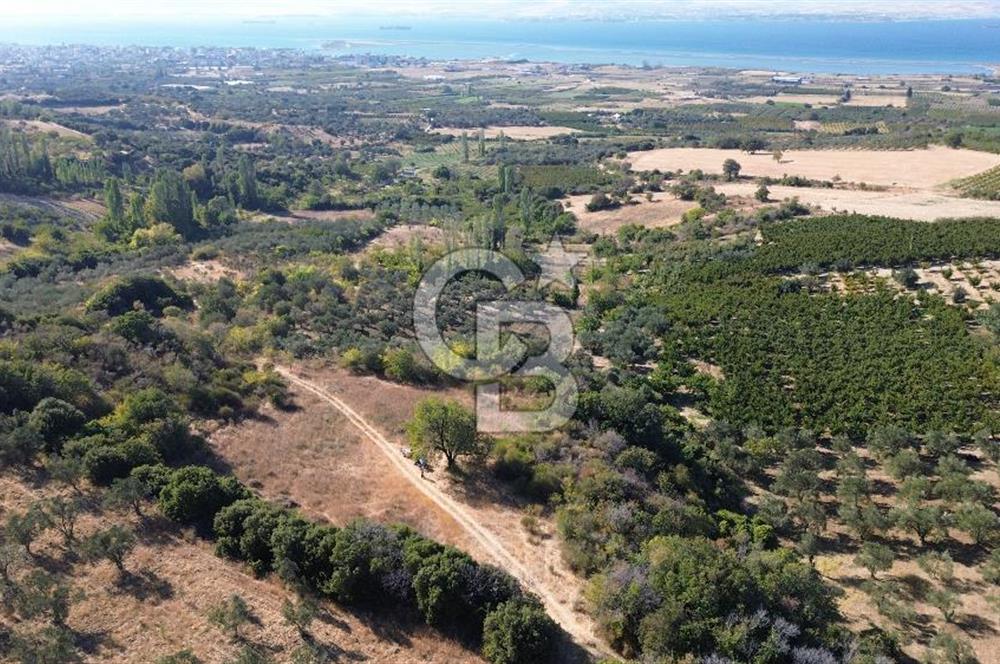 ÇANAKKALE LAPSEKİ ÇARDAK'TA BOĞAZ MANZARALI 10.055 m² YATIRIMLIK SATILIK TARLA!