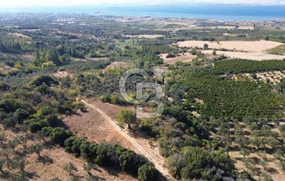 ÇANAKKALE LAPSEKİ ÇARDAK'TA BOĞAZ MANZARALI 10.055 m² YATIRIMLIK SATILIK TARLA!