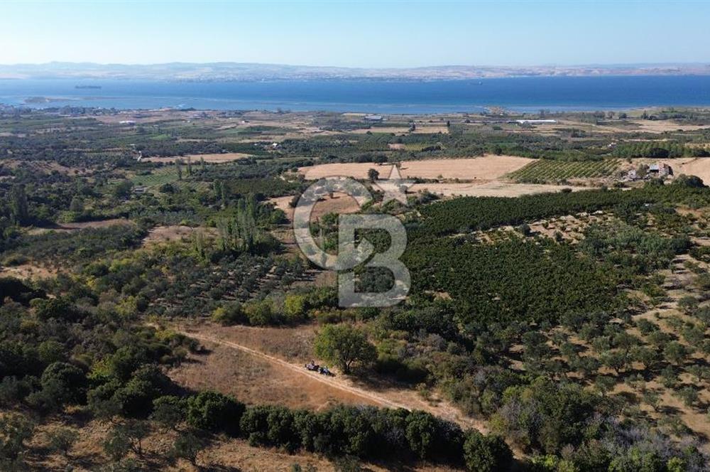ÇANAKKALE LAPSEKİ ÇARDAK'TA BOĞAZ MANZARALI 10.055 m² YATIRIMLIK SATILIK TARLA!