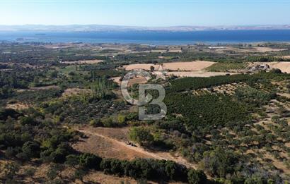 ÇANAKKALE LAPSEKİ ÇARDAK'TA BOĞAZ MANZARALI 10.055 m² YATIRIMLIK SATILIK TARLA!