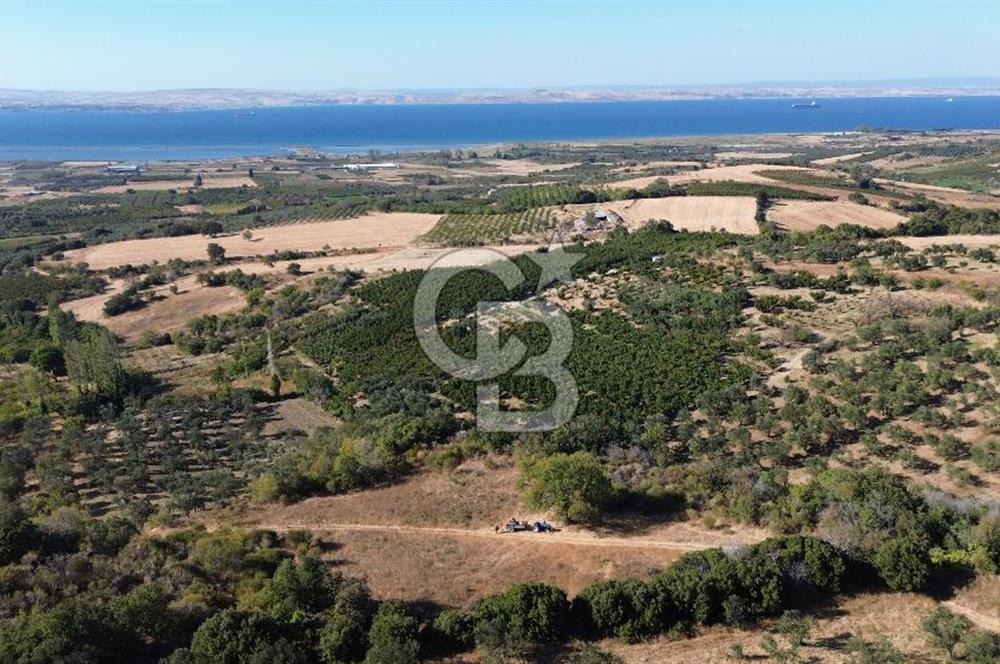 ÇANAKKALE LAPSEKİ ÇARDAK'TA BOĞAZ MANZARALI 10.055 m² YATIRIMLIK SATILIK TARLA!